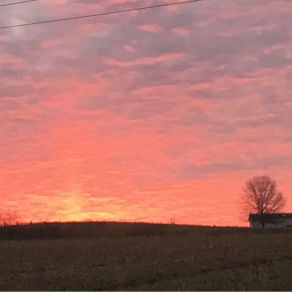 Meet your Posher, Dreama - Picture 5 of 5